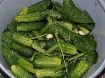 На дно миски выложить половину укропа (предварительно промыть), на него - огурцы. На огурцы выложить вторую половину укропа и мелко порезанный чеснок.