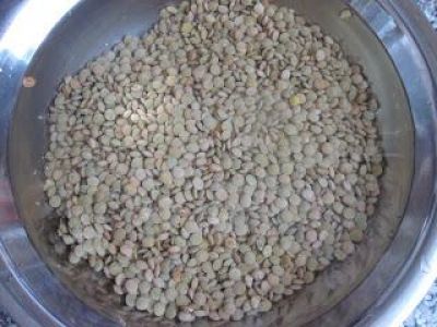 Замочите чечевицу (тарелочную зеленую) на 40 минут - 1,5 часа.